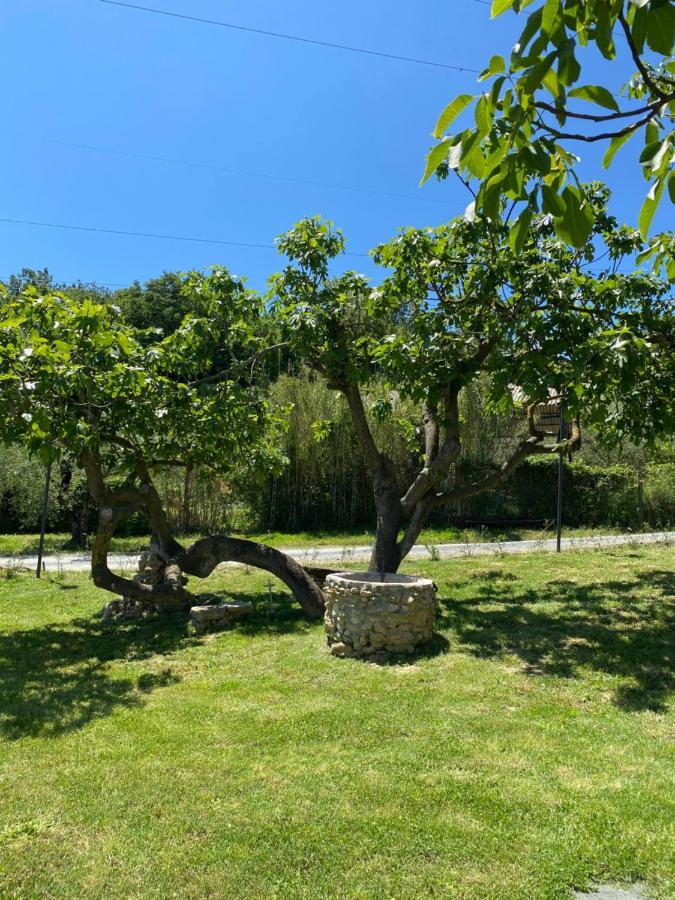 Agriturismo La Casa Dei Ricordi コッレサルヴェッティ エクステリア 写真