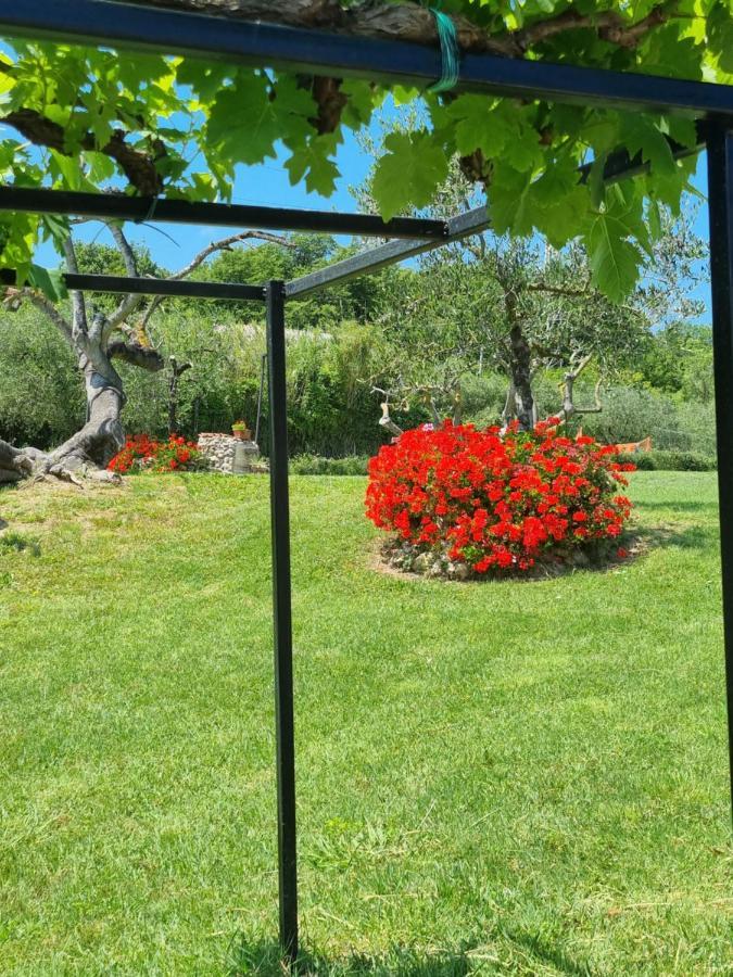 Agriturismo La Casa Dei Ricordi コッレサルヴェッティ エクステリア 写真